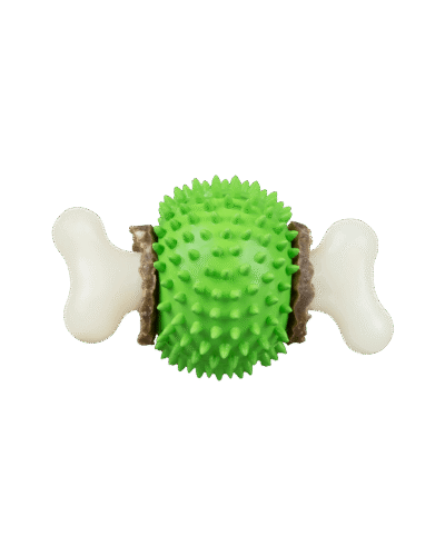 Dog chew toy
